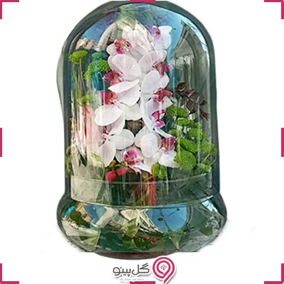 تراریوم ارکیده بزرگ g-te-102