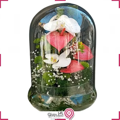 تراریوم ارکیده و آنتوریوم g-te-103