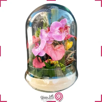 تراریوم ارکیده و آنتوریوم صورتیg-te-105