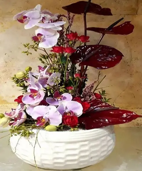 باکس گل آمیتیس