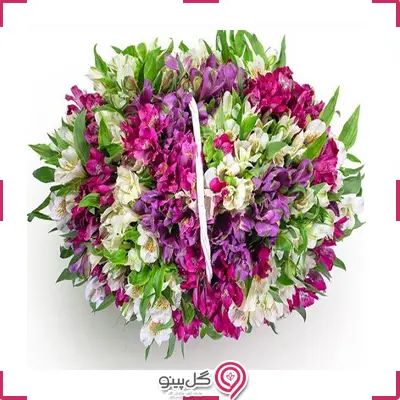 سبد گل آلسترومریا g-ba-102