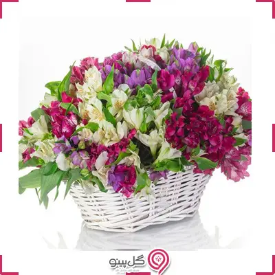 سبد گل آلسترومریا g-ba-102