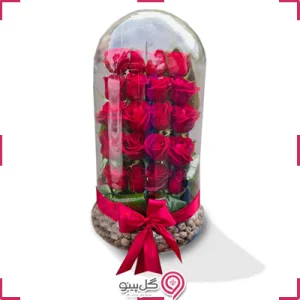 تراریوم گل رز قرمز g-mosh-te-301