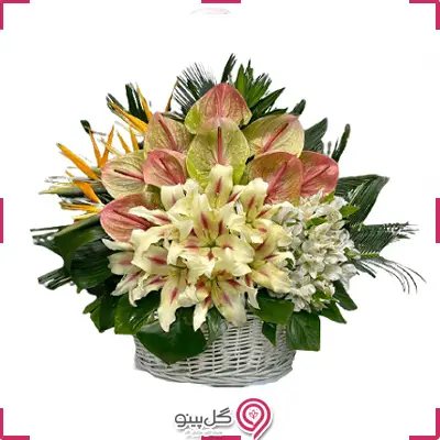 سبد گل آریا g-ba-gma-349