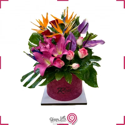 باکس گل آوینار g-bo-gma-331