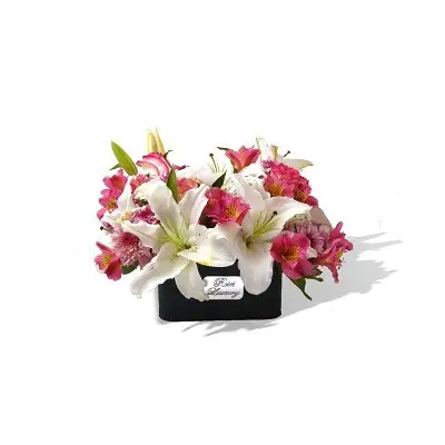 باکس گل چیکا g-bo-sh-741