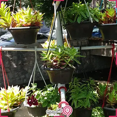 گلدان گل ناز g-g-arm-113