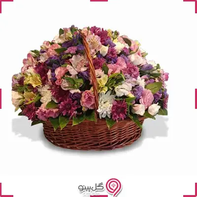 سبد گل داوودی و میخک و آلسترg-mosh-ba-310