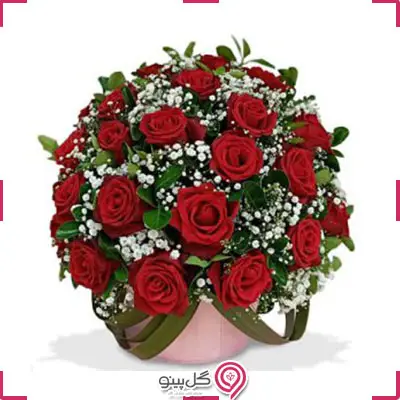 باکس رز قرمز و ژیپسوفیلا g-b-DAN-120