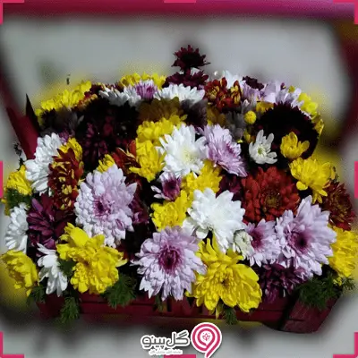 سبد گل پارند g-ba-glg-674