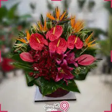 خرید سبد گل دیلان g-ba-gma-337-2