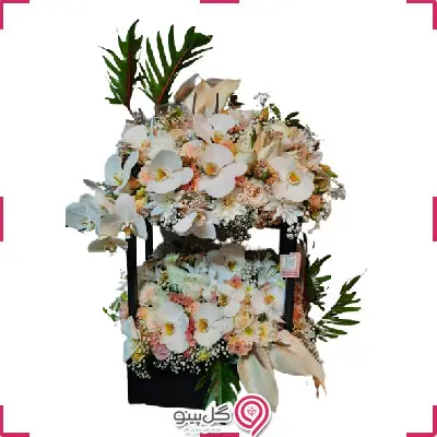 باکس گل نیسا g-bo-ala-1003