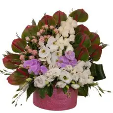 باکس گل نایریکا g-bo-cla-1001