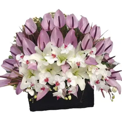 باکس گل گلدیس g-bo-cla-1019