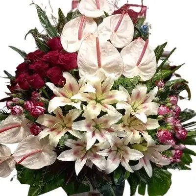 باکس گل یاسیتا g-bo-cla-992