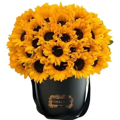 باکس گل ویستا g-bo-cla-998