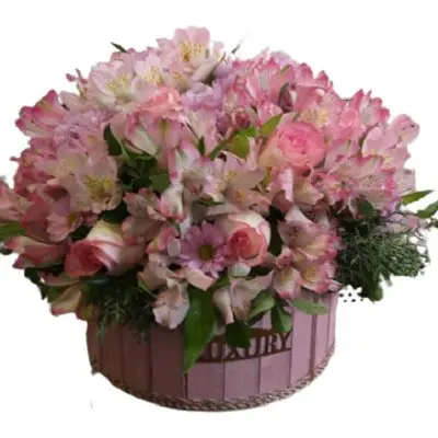باکس گل شاپرک g-bo-ghg-113