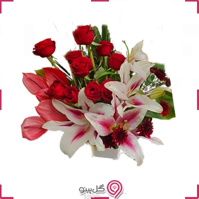 باکس گل شارمیلا g-bo-gj-116