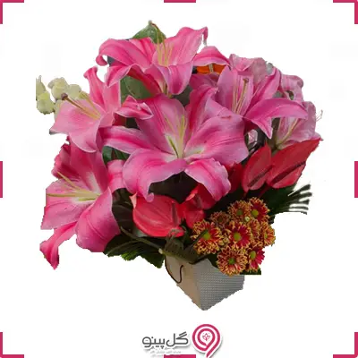 باکس گل پانیداg-bo-gj-117