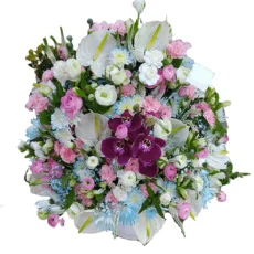 باکس گل سایان g-bo-gof-470