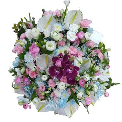 باکس گل سایان g-bo-gof-470