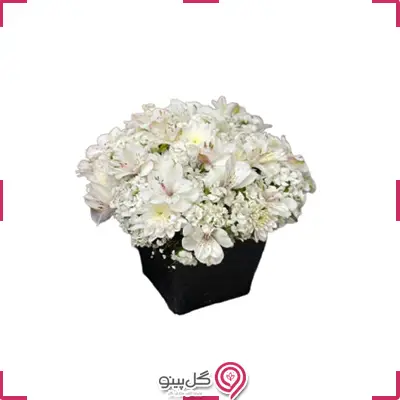 باکس گل چکاوک g-bo-rol-726