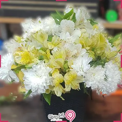 خرید باکس گل چکاوک g-bo-rol-726-2