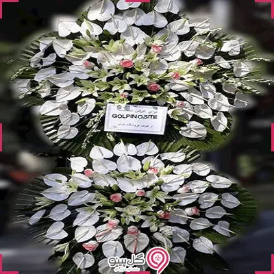 تاج گل کیمیا g-mosh-t-363