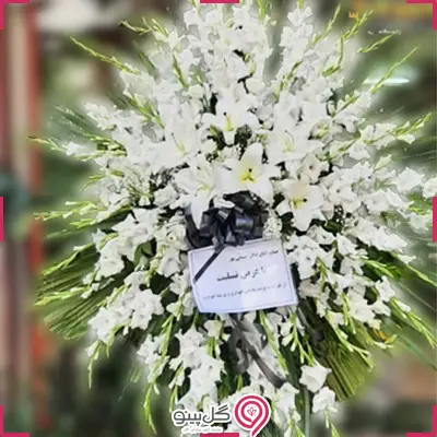 تاج گل دلجو g-mosh-t-366-3