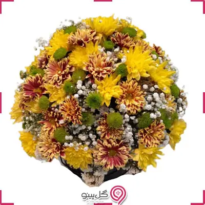 سطل گل آرتنوس g-s-ala-993