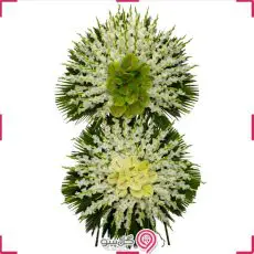 تاج گل آیلا g-t-mel-505