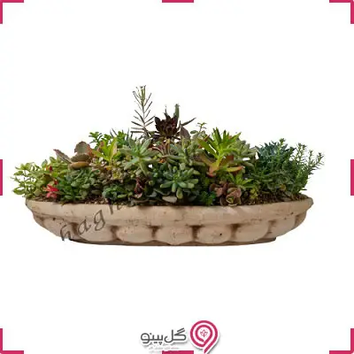 دیش گاردن تندیس g-tr-sh-761