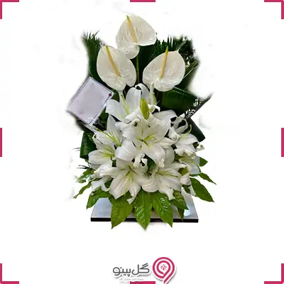 باکس گل نفس g-ba-gma-366