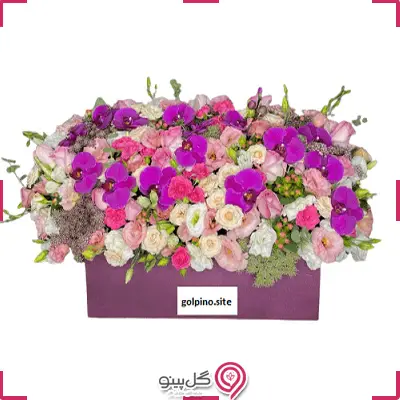 باکس گل شادان g-ba-rol-709