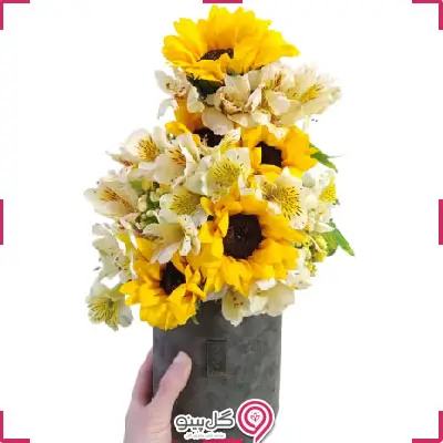 باکس گل ژاکلین g-bo-day-895