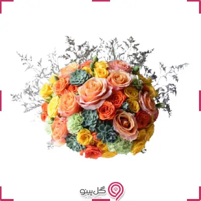 پکیج تولد یاسمینا g-bo-hani-335