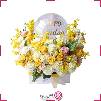 پکیج تولد کارینا g-bo-hani-341