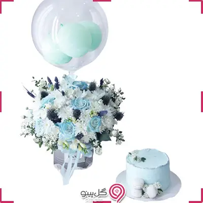 پکیج تولد مارتینا g-bo-hani-345