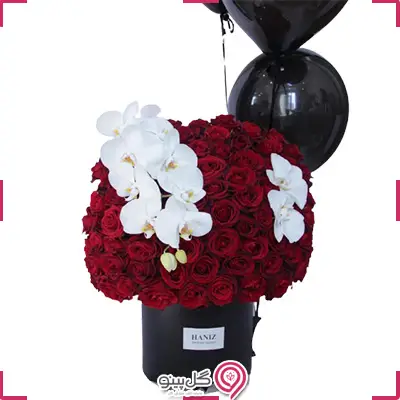 پکیج تولد جولیا g-bo-hani-349