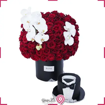 پکیج تولد جولیا g-bo-hani-349