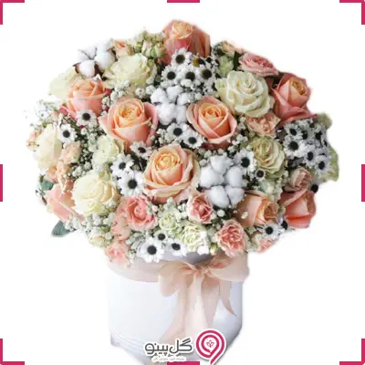 باکس گل ایلدا g-bo-hani-352