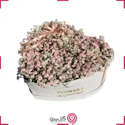 باکس گل ایرسا g-bo-hgol-301