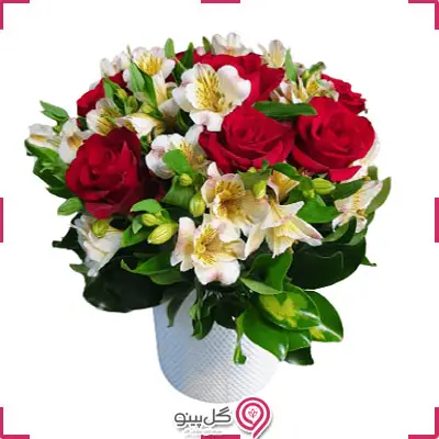 باکس گل راسا g-bo-la-314