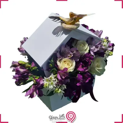 باکس گل آلیسا g-bo-nilk-1004