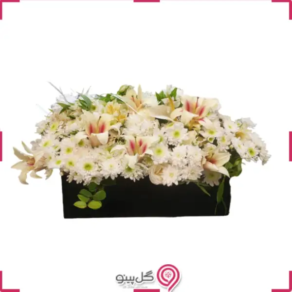 باکس گل صوفیا g-bo-nilk-1007