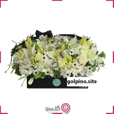 باکس گل صوفیا g-bo-nilk-1007