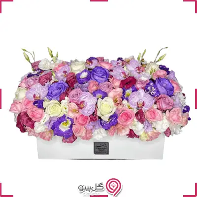 باکس گل مهرآیین g-bo-rol-705