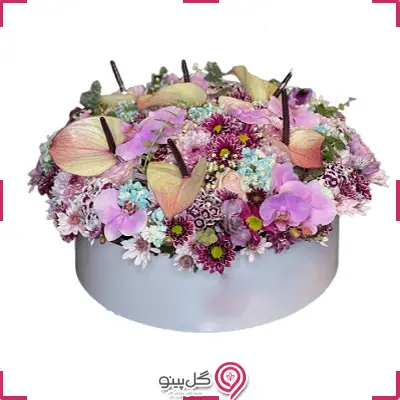 باکس گل تَرَنُم g-bo-rol-725