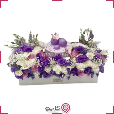 پکیج تولد ایپک g-bo-viv-446