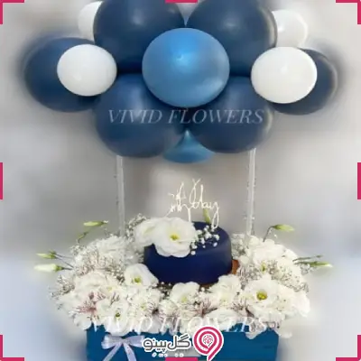 پکیج تولد ایلار g-bo-viv-447